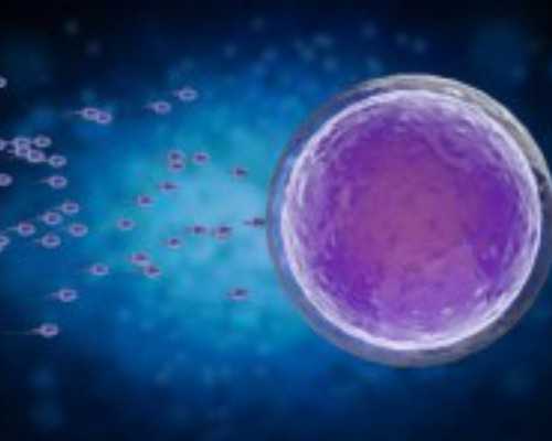 重庆代孕去哪家最好,2024北京协和医院供卵试管多少钱？附北京供卵试管费用一