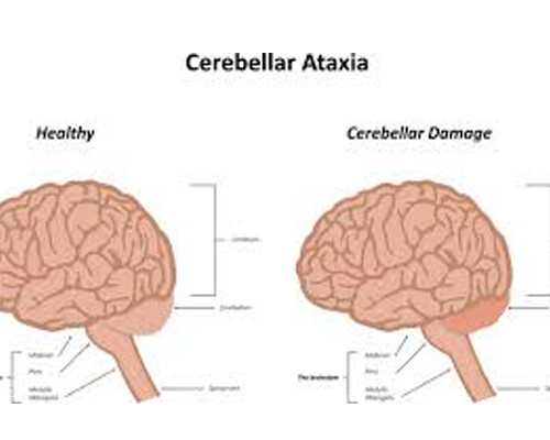 重庆代怀 助孕,北京供卵中心（北京家圆医院专家名单）-上海私立医院供卵多少