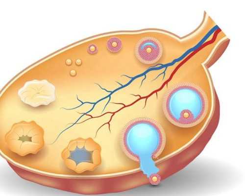 重庆咨询代孕公司,2023
年重庆供卵试管婴儿医院排名？附医院试管成功率费用明