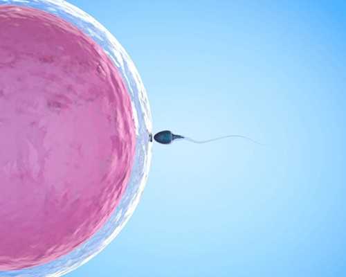 建立和谐的婆媳关系：心理角度解读与实用经验分享！