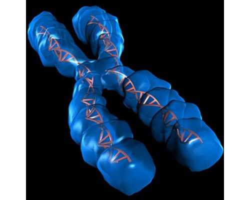 中央官媒人民日报报道全球城市最新排名：重庆236名，大连249名