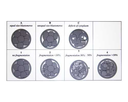 重庆代孕哪家放心,【北京私立供卵医院43做供卵成功率】顺转剖的辛苦生产过程