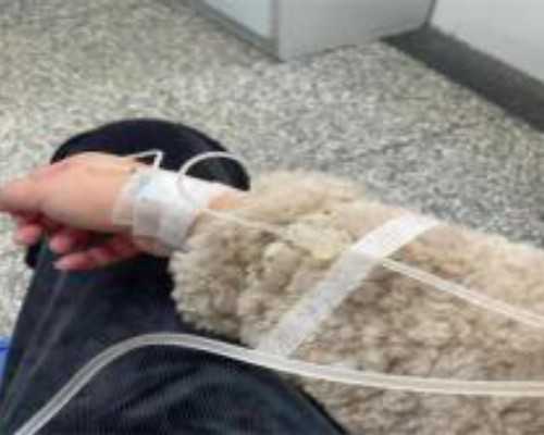 重庆有谁做过代生,在重庆做试管能知道性别吗？-深圳哪些医院可以做供卵_iv