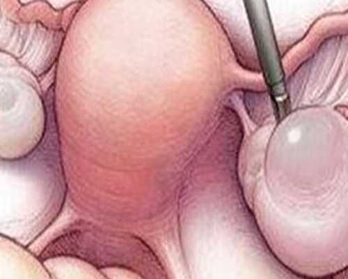 重庆公立医院供卵,这8个助孕方法，让好孕来得更猛烈些！_怎么样计算生男生女