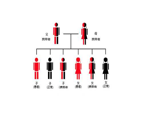 重庆哪家代孕公司可靠,[焦点]天津助孕公司找哪家_上海地下医院供卵的价格-重