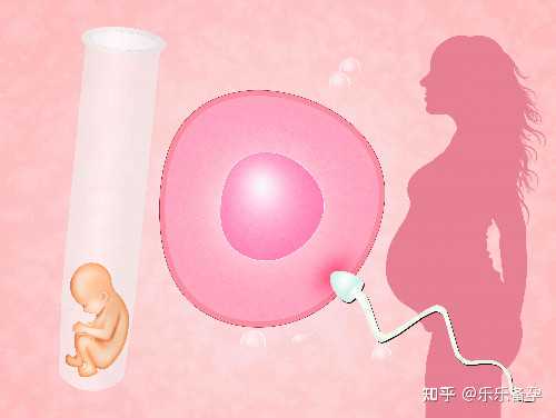 精子DNA碎片率不育